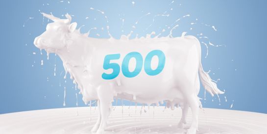 İkinci 500'e Girdik